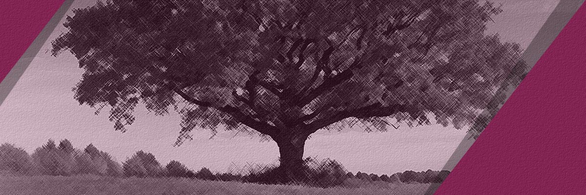 Formation environnementale pour les élus du CSE | Cabinet CÉRÈS